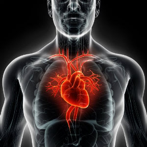 Cardiac-1.jpg