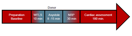 Donor cardiac function for transplant