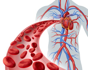 vascular-access-blood-flow