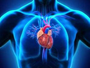 cardiac overload hemodialysis