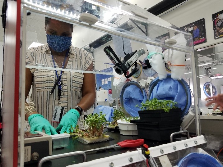 Zero G GloveBox with Microgreens - photo credit Dr George Pantalos