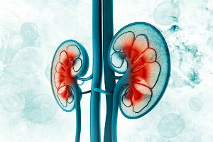 kidney-care-news