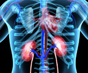 first-artificial-kidney-built-war-torn-netherlands.jpg