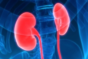 Kidney Care News to Know