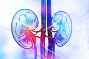 kidneys-care-news