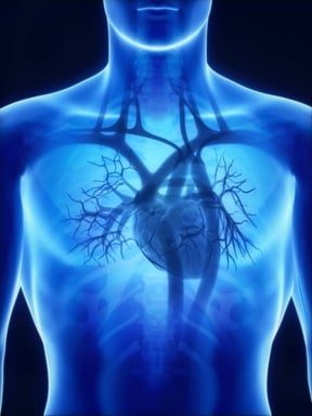 intraoperative-flow-measurement