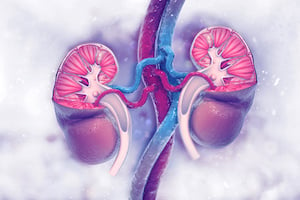 kidney care news image