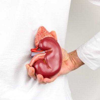 kidney care news