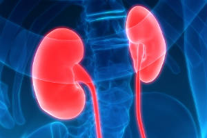 kidney-care-news