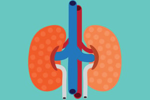 kidney care news
