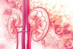 kidney-care